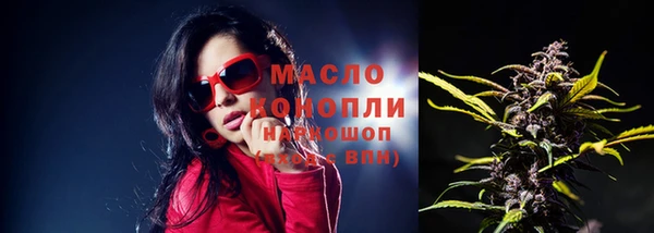 мдпв Дмитровск