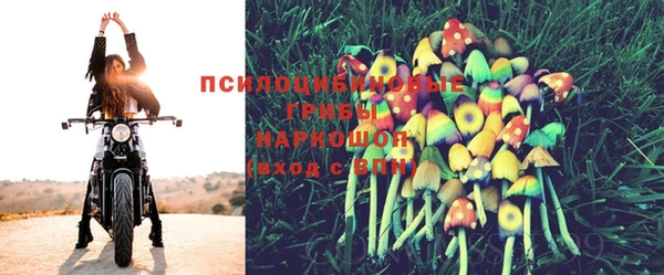2c-b Тутаев