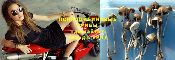 экстази Дмитров