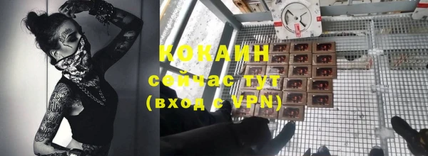 дурь Дмитриев