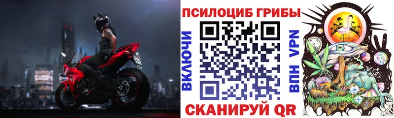 Галлюциногенные грибы Psilocybine cubensis  Купить закладки  Остров 